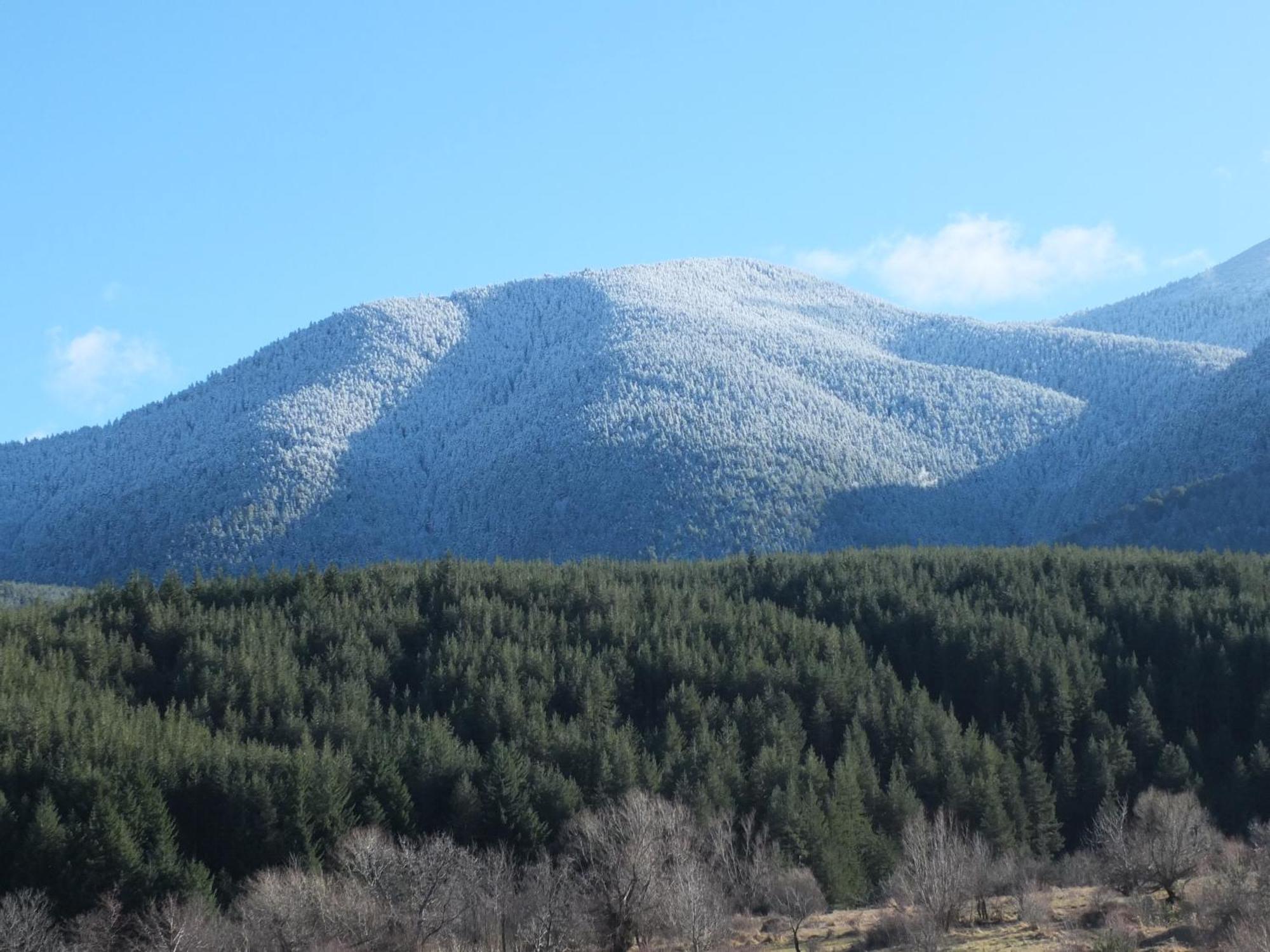 Pirin Heights A-21 Близо До Ски Пистата Bansko Zewnętrze zdjęcie